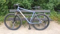 Stahlrahmen Hardtail MTB Singular 29" Gr.L Dresden - Seidnitz/Dobritz Vorschau