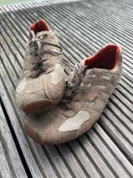 Geox Halbschuhe Sneaker beige grau Jungen Gr. 37 Wildleder Baden-Württemberg - Neukirch Vorschau