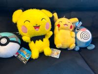 Pokemon stofftier kuscheltier pokeball pikachu pichu quapsel Nordrhein-Westfalen - Paderborn Vorschau