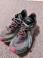 Asics Fujispeed Gr. 39 Damen Laufschuh, Trekking, Wanderschuh, Baden-Württemberg - Singen Vorschau