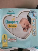 Neu Pampers gr.1 Niedersachsen - Göttingen Vorschau