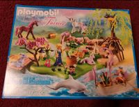 Playmobil Feeninsel 70167 Baden-Württemberg - Wäschenbeuren Vorschau