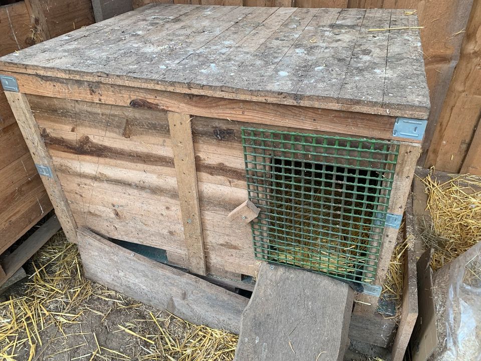 Hühner Enten Geflügel Stall Holzkisten Legekisten in Attendorn