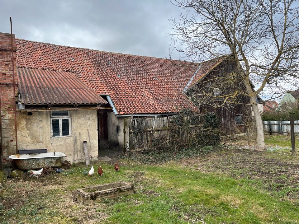 Bauerngehöft (1200qm) + landwirtschaftl. Flächen zu verkaufen in Thale-Friedrichsbrunn