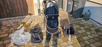 Kinderwagen 3 in 1 Buggy Baden-Württemberg - Gundelsheim Vorschau