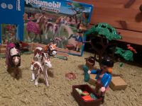 Playmobil Pferde Set Bayern - Neunkirchen a. Brand Vorschau