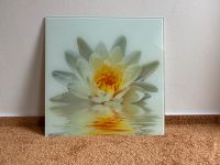 Glasbild Lotosblume Seerose Weiß Gelb 45x45 Neupreis 39€ Brandenburg - Fürstenberg/Havel Vorschau