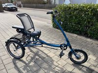 E-Dreirad PFAU-tec Scootertrike Bayern - Günzburg Vorschau