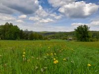 3 Zimmerwohnung am Ortsrand Hessen - Schlangenbad Vorschau