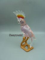 Orig SWAROVSKI Crystal Paradise Figur 718565 TOP KAKADU OVP Vogel Nordrhein-Westfalen - Lage Vorschau