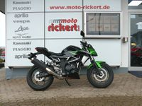 Kawasaki Z 125 ABS SUPER-STARTER-Z TOPPREIS SICHERN!!! Rheinland-Pfalz - Braubach Vorschau