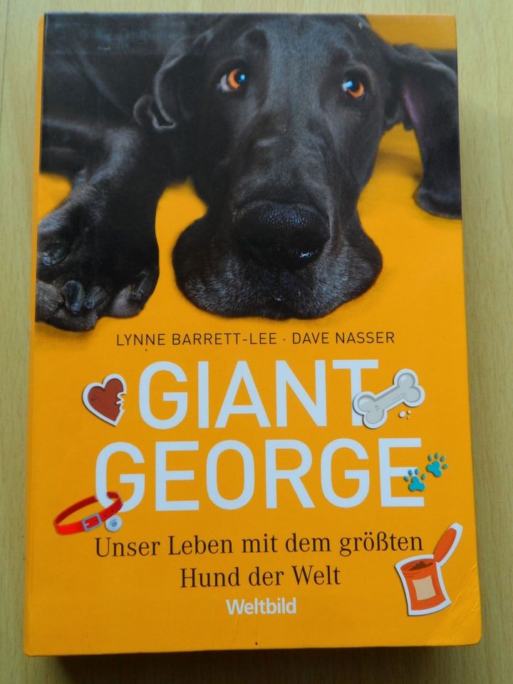 Giant George # Lynne Barrett Lee in Ludwigshafen