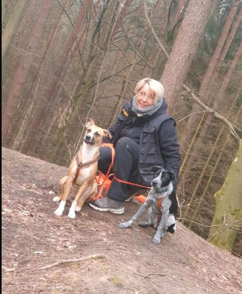 Mobile Hundeschule - Dog's Eldorado in Freiensteinau