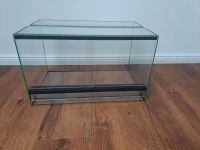 Glastertarium 50x30x30cm wie NEU Brandenburg - Lindow Vorschau