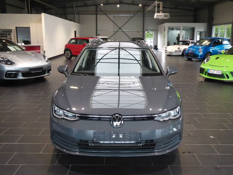 Volkswagen Golf Variant 1.5 TSI OPF Life Navi AHK PDC LED in Weinheim