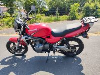 Kawasaki ER5 ER500A Ersatzteile Teile Sitzbank Räder Motor Koffer Niedersachsen - Westoverledingen Vorschau