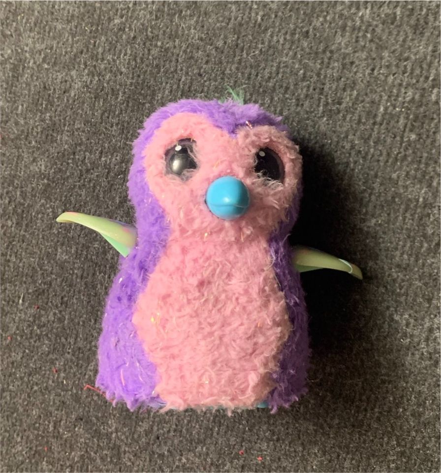 Hatchimal groß in Oberding