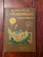 Bilderatlas des Pflanzenreichs, Botanik, Pflanzen, Natur Baden-Württemberg - Karlsruhe Vorschau