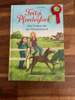 Buch: Fritzi Pferdeglück - Das Fohlen von der Westernranch Saarland - Illingen Vorschau