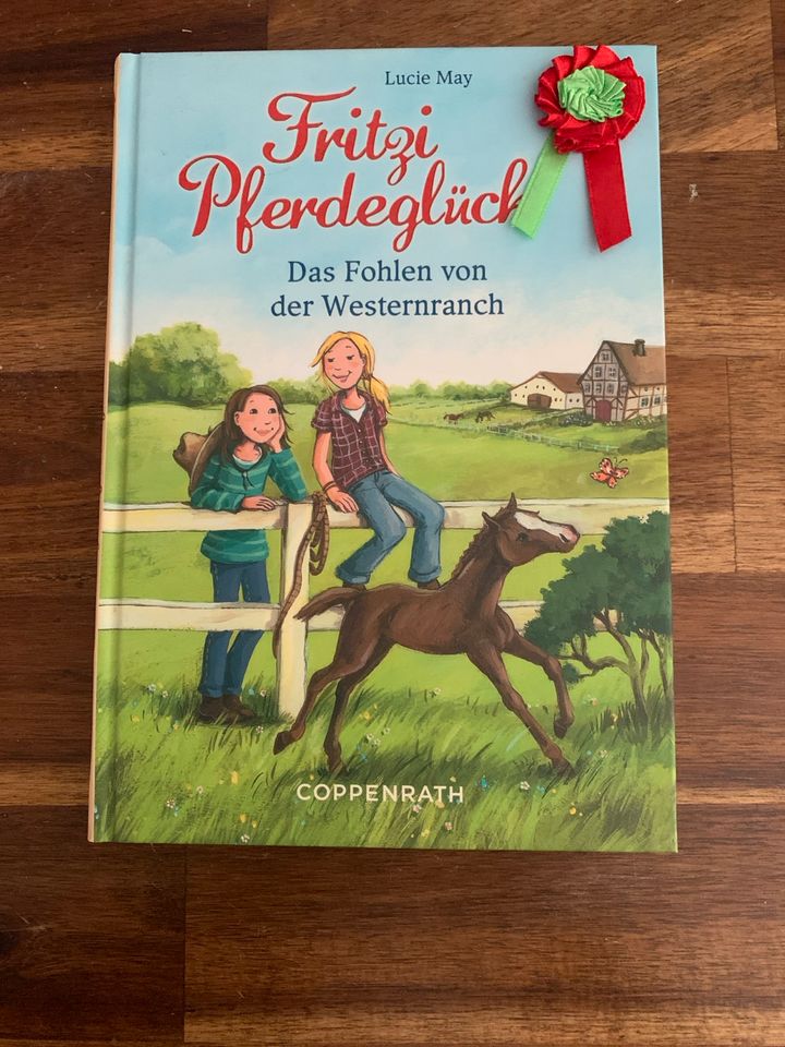 Buch: Fritzi Pferdeglück - Das Fohlen von der Westernranch in Illingen