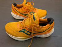 Saucony Triumph 20 - Größe 46 Baden-Württemberg - Dettingen unter Teck Vorschau