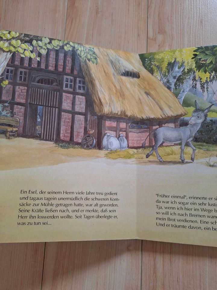 Kinderbuch Bremer Stadtmusikanten + Supertolle Tiergeschichten in Grünhain-Beierfeld 