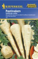 Kiepenkerl Pastinaken halblange weiße Garten Gemüse Anbau Sachsen - Striegistal Vorschau