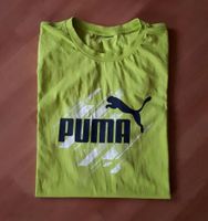 Sachenpaket 182 * Shirt Puma / Fleecejacke / Hosen / Jeans Sachsen - Struppen Vorschau