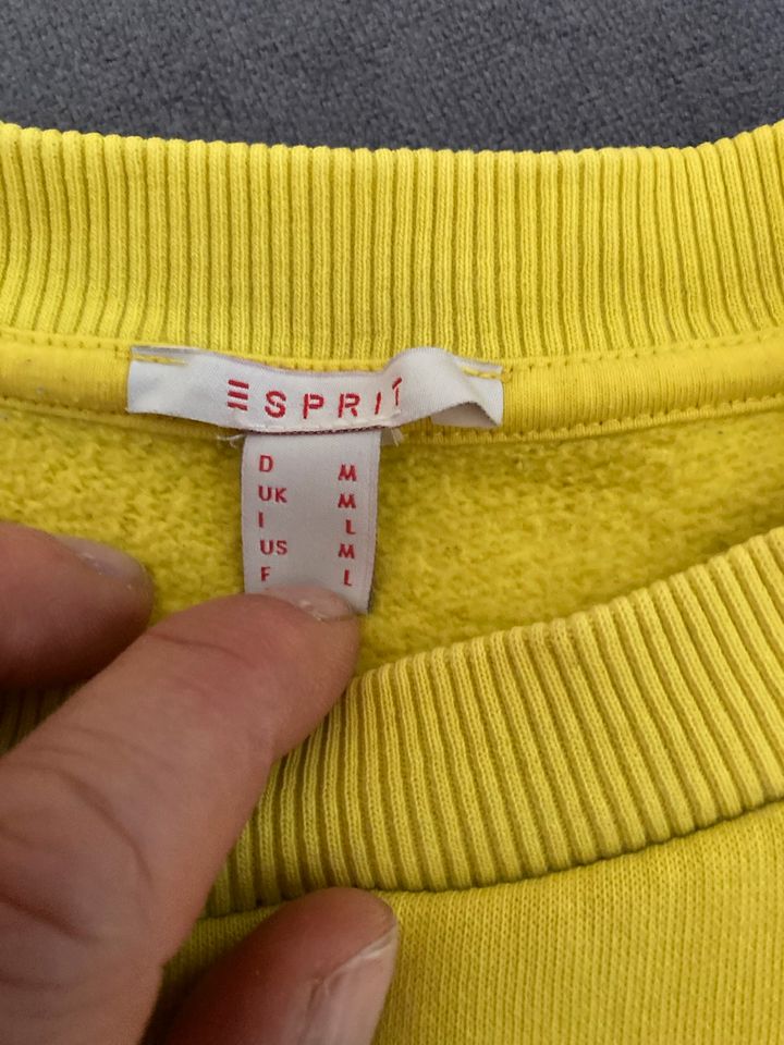 Sweatshirt Esprit in Düsseldorf