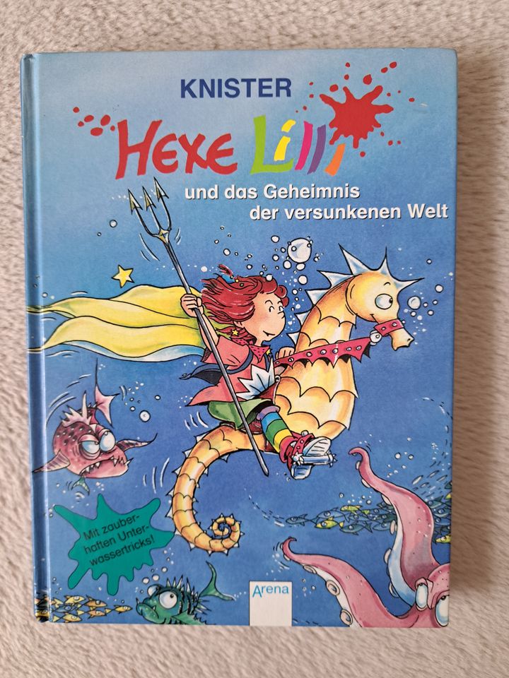 Buch Hexe Lilli und das Geheimnis der versunkenen Welt in Olching