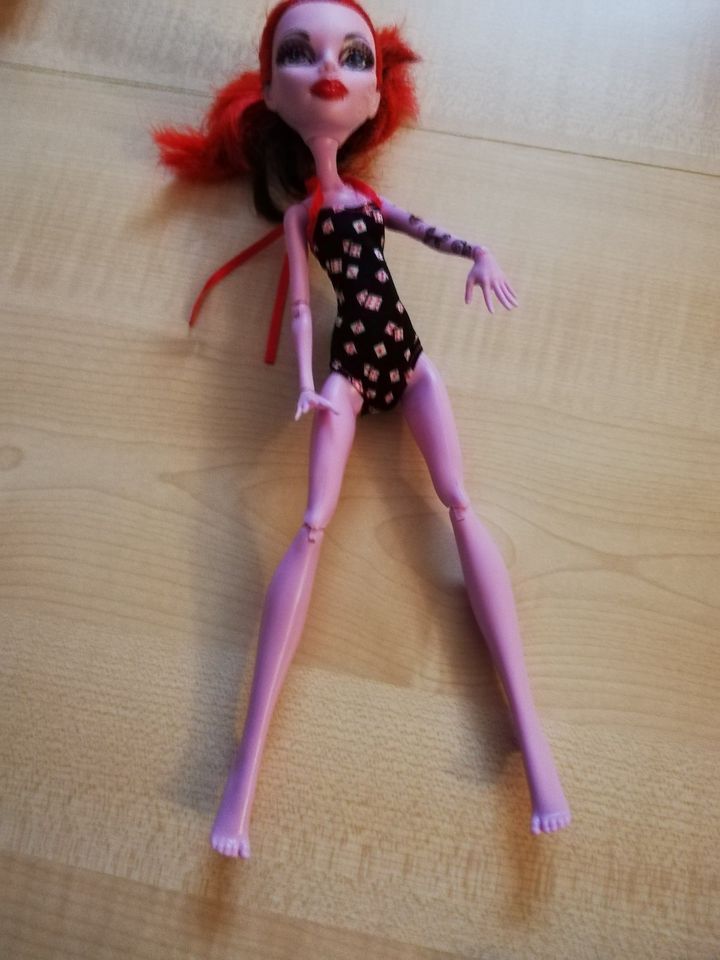 6 Monster High Puppen in Kalbsrieth