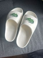 Lacoste Latschen Saarland - Bexbach Vorschau