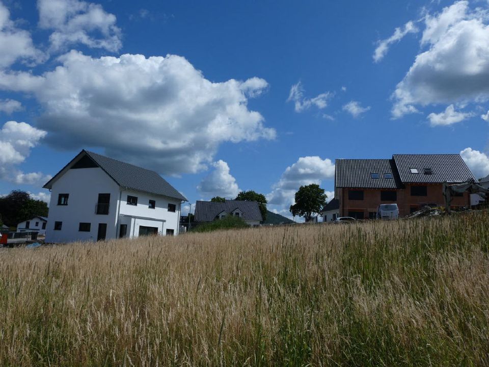 / Ihr Hausbau kann beginnen! in Schmallenberg