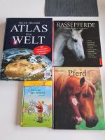 Div.Bücher,Pferde,Junge ,Mädchen ,Spiel Adel verpflichtet Top Niedersachsen - Oldendorf (Landkreis Stade) Vorschau