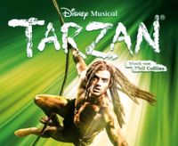2x Tickets Musical Disneys Tarzan am 26.05.24 Bayern - Kempten Vorschau