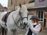 geführtes Ponyreiten auf Islandponys Hessen - Schöffengrund Vorschau