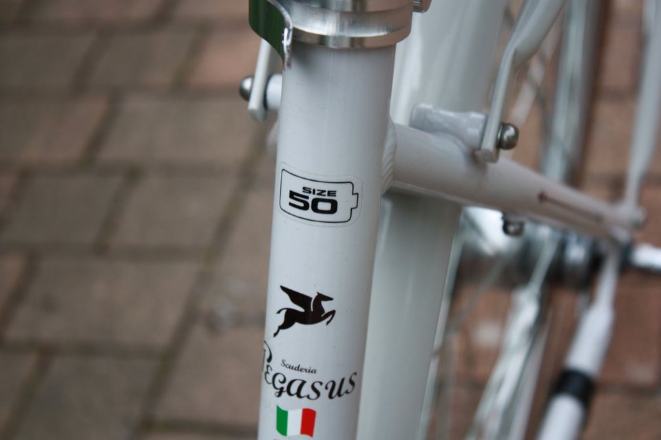 Pegasus Bici Italia Damenrad in Düsseldorf