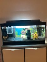 Aquarium 60 Liter von Tetra Bayern - Erlangen Vorschau