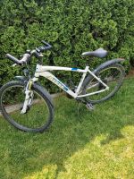 26" Fahrrad MTB Axess Sporty Bayern - Lagerlechfeld Vorschau