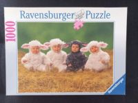 Ravensburger Puzzle 1000 Teile Süsse Lämmchen 153770 Rheinland-Pfalz - Rieschweiler-Mühlbach Vorschau