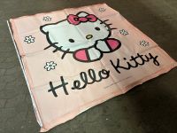 XXL hello Kitty Banner pvc Plane lkw Werbung Reklame Rarität top Rheinland-Pfalz - Idar-Oberstein Vorschau