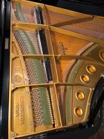 C. Bechstein B-203 von 1977 Flügel / TOP ZUSTAND Bayern - Kronach Vorschau