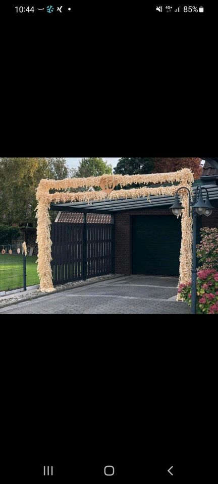 Holzlocken für hölzerne Hochzeit immer frisch in Wiesmoor