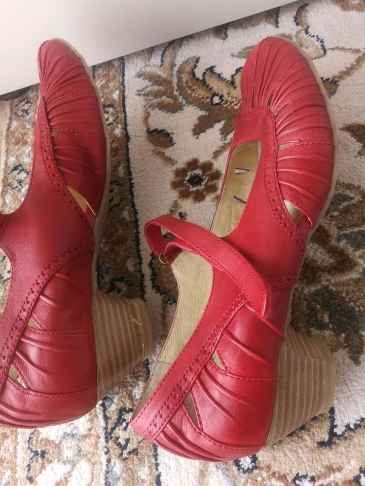 Marken Leder Schuhe von Caprice große 37 sole 23 cm in Halle