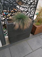 Gartenfreunde Rattan Blumenkästen raumtrenner Bayern - Denkendorf Vorschau