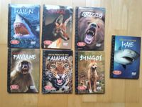 Natural Killers DVDs (6+1) Nürnberg (Mittelfr) - Mitte Vorschau