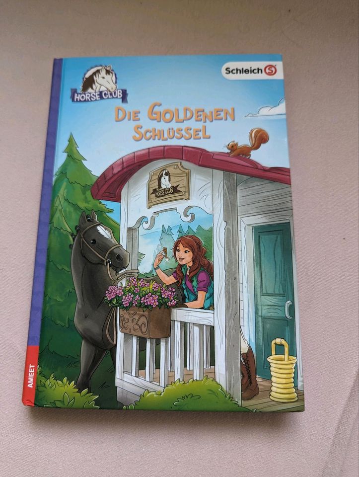 Kinderbuch Buch Bücher Horse Club 3 Stück in Saalfeld (Saale)