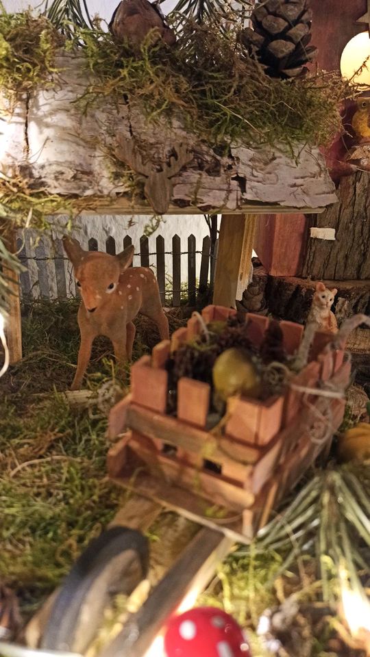 Wichtelhaus Wichteltür Weihnachtsdeko Feenhaus Gnom in Köln