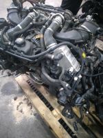 Motor  N63B44B 449PS  51tkm  550i 650i x5 X6 komplett Berlin - Spandau Vorschau