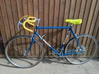 Favorit F1 Special 1974 Rennrad, Retrobike, Vintage Roadbike Baden-Württemberg - Owingen Vorschau